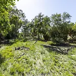 Con Giardino - Accesso Diretto Giunco Villa