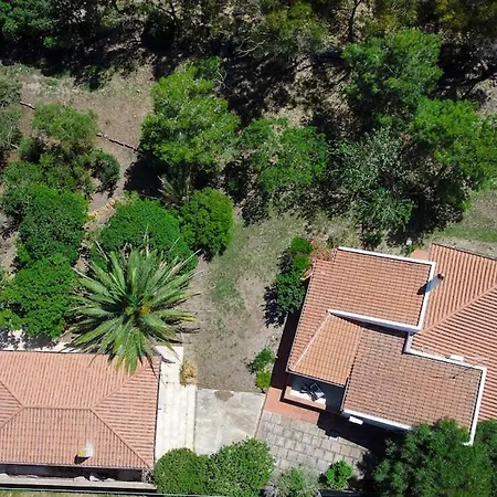 Con Giardino - Accesso Diretto Giunco