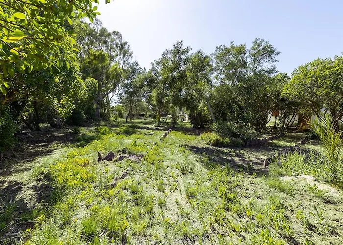 Con Giardino - Accesso Diretto Giunco Villa